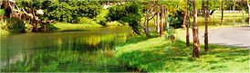 Pigeon Forge cabins for sale