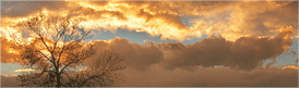 Sevierville homes for sale